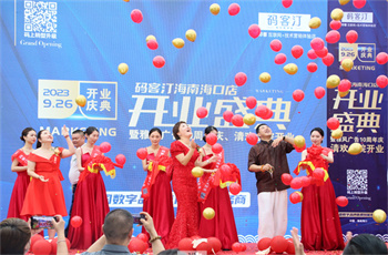 码客汀海南雅风传媒清欢小院